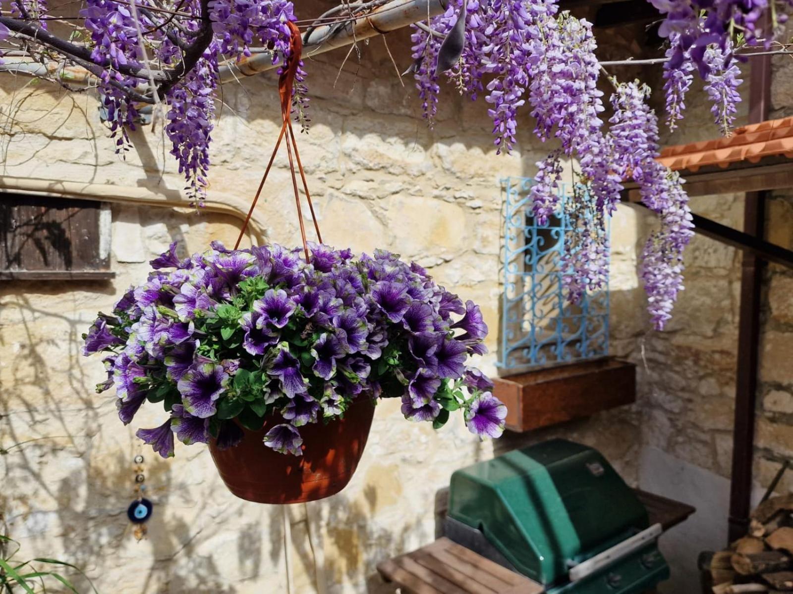 Kalimera A Lovely 1-Bedroom Rental With Ensuite And Kitchen Limasol Buitenkant foto